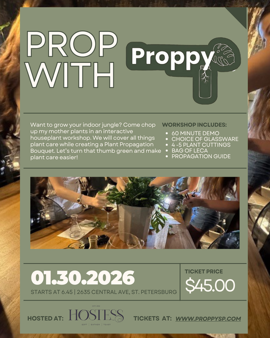 Prop with Proppy Workshop
