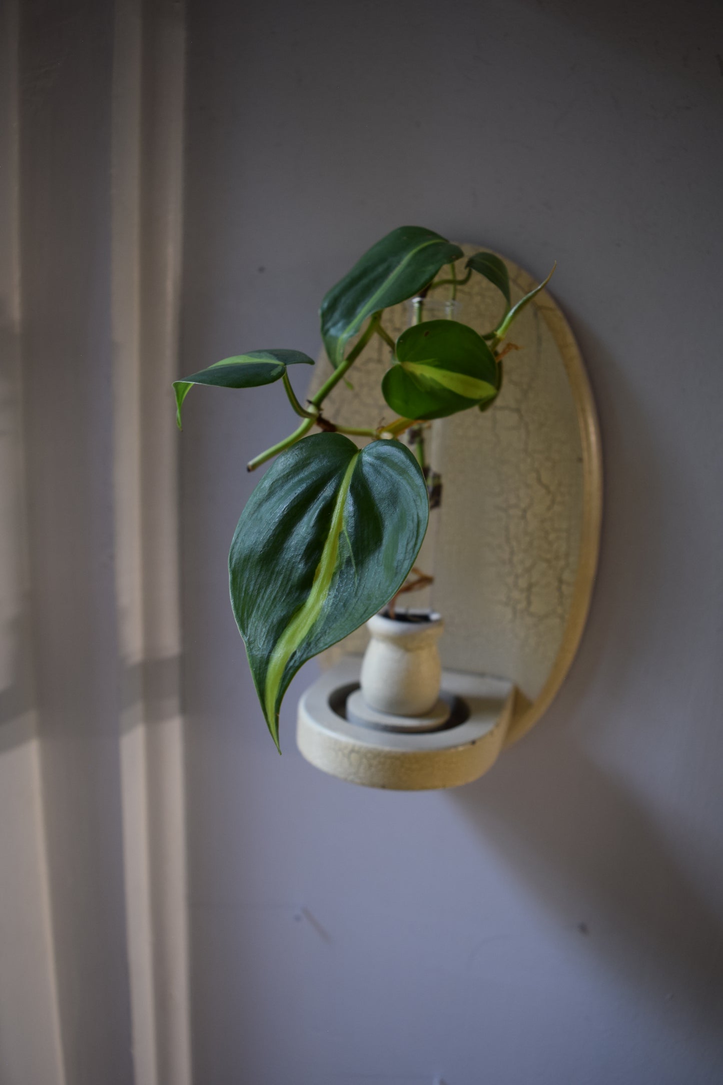 Propagation Sconce