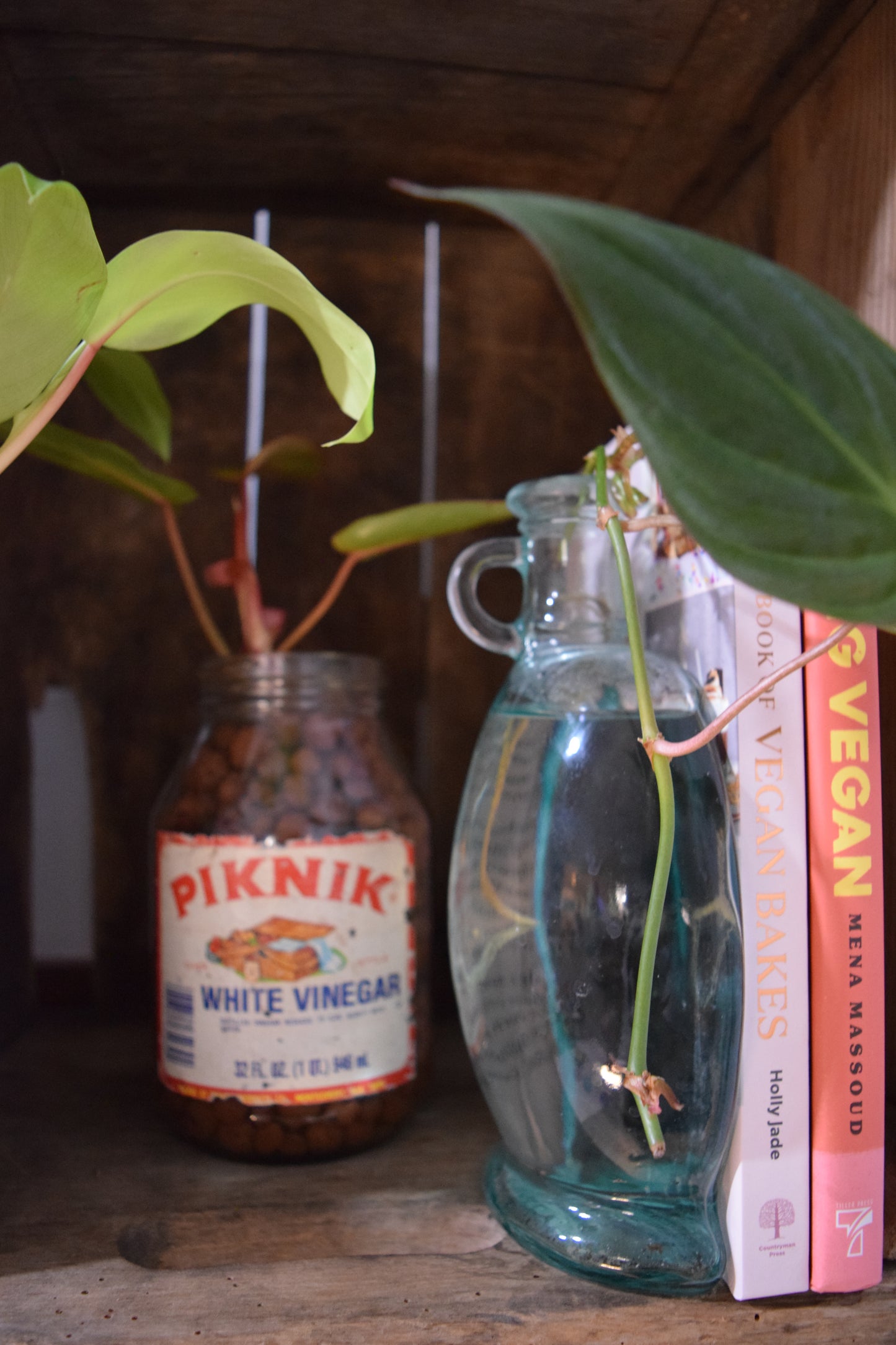 "Painted Lady Piknik"