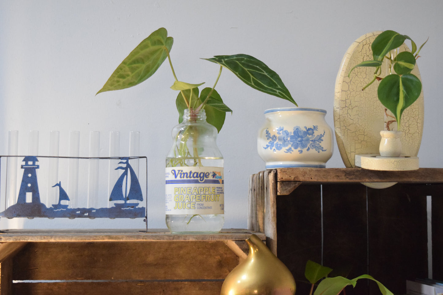 Propagation Sconce