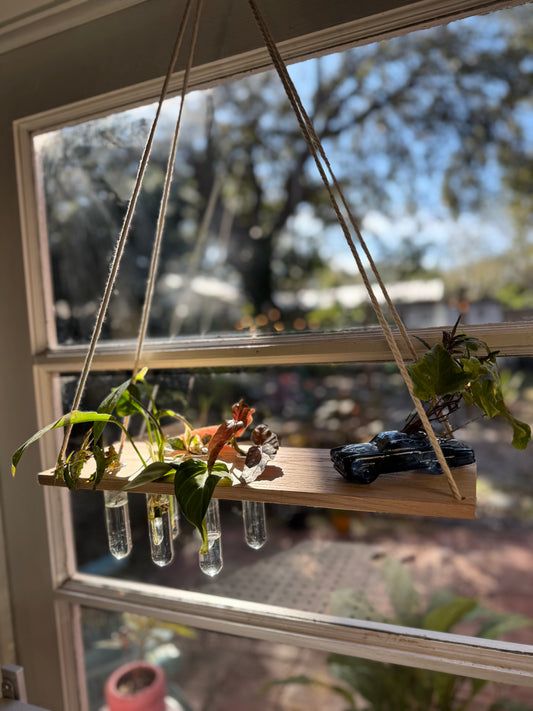 Propagation Shelf